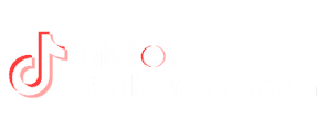 Certificação TikTok Ads