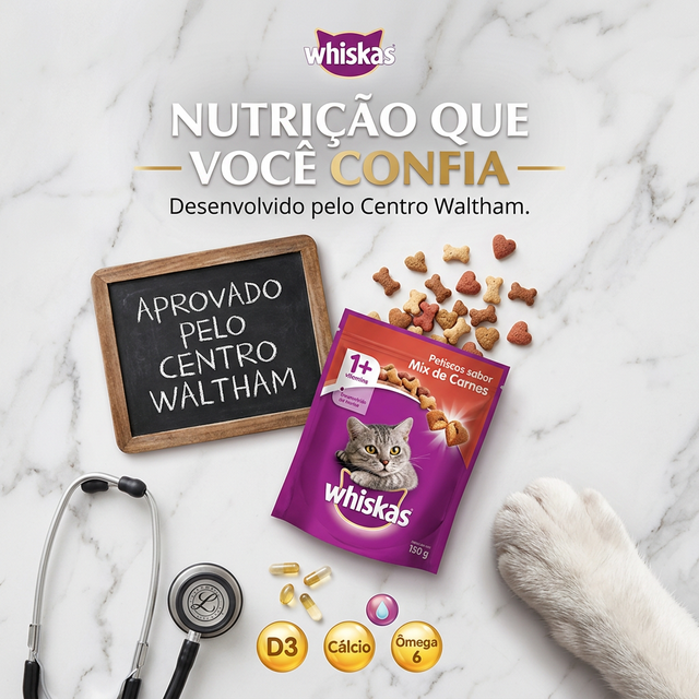 Conceito 5 — Ciência + Carinho