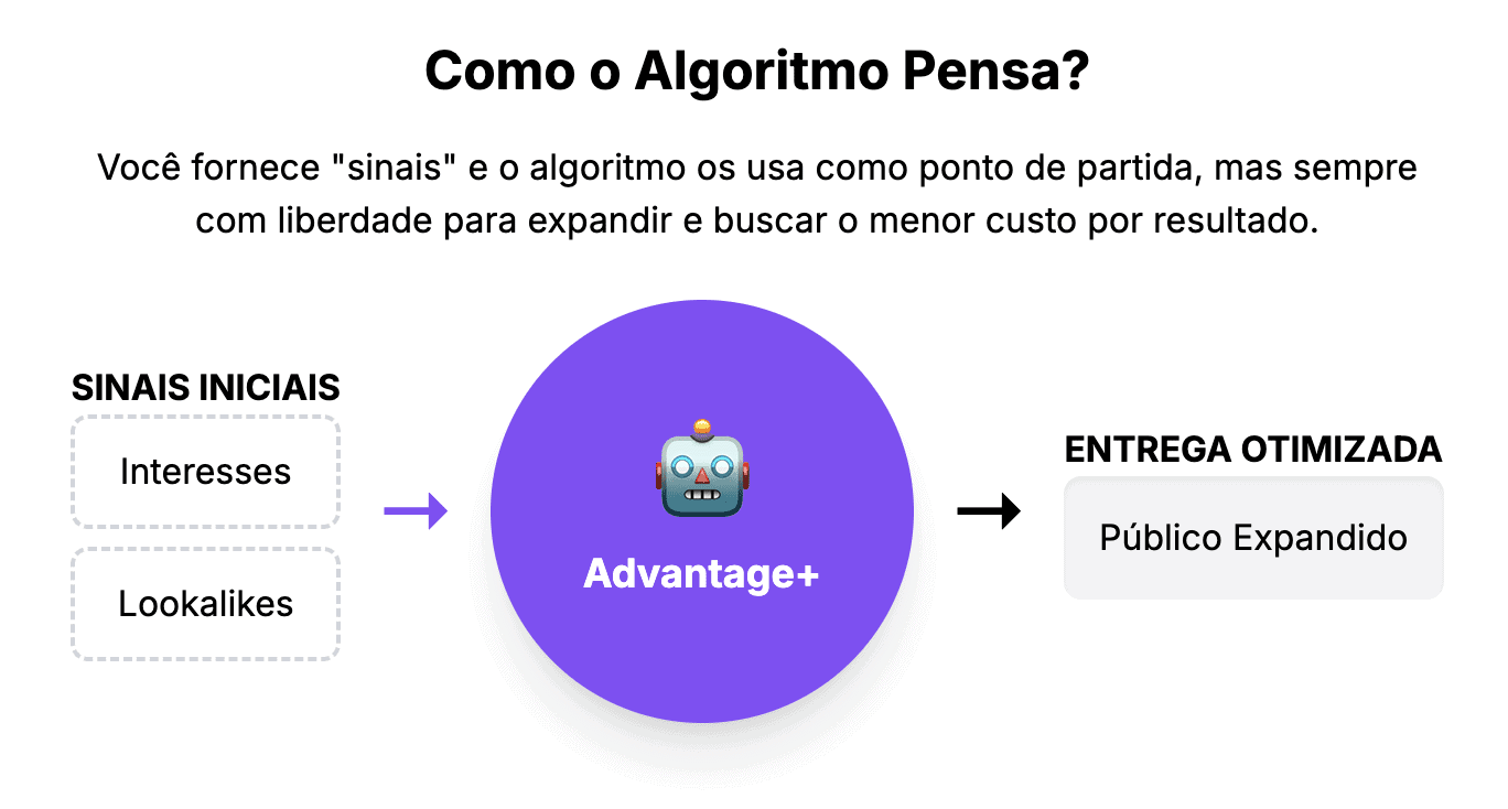 meta ads algoritmo